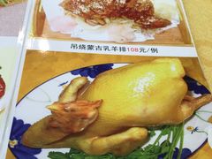 -姚林轩