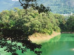 -广州市流溪河国家森林公园