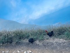 -萍乡武功山风景名胜区