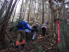 -素山寺森林公园