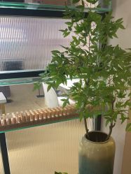 -S庆熙美学皮肤管理
