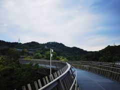-福道