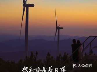 追逐夕阳,晚霞与星海|宁波风车公路