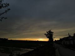 -岳阳站