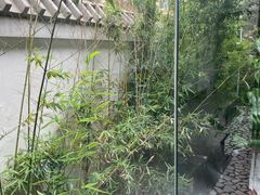 -竹雨堂创意中国菜(裕华店)