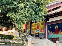 -柯岩风景区