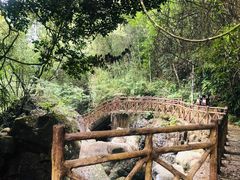 -广州市流溪河国家森林公园