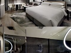 -新加坡乌节希尔顿酒店 (SG Clean)