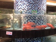 -鹏城人家海鲜酒家·23年老字号(较场尾店)