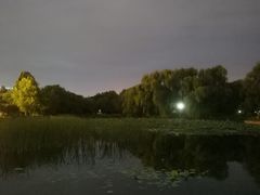 -望湖公园
