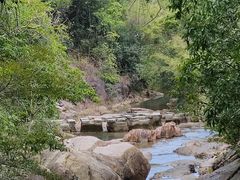 -广州白江湖森林公园