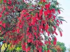 -广州国际生物岛