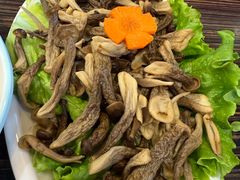 -蒙星月涮肚火锅城(宏运家园店)