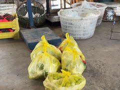 -马陆小张葡萄园农家乐