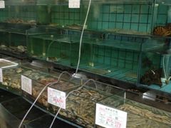 水产区-海岛渔村大酒店(云霄路店)