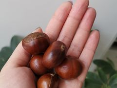 糖炒栗子-秋栗香(地安门店)