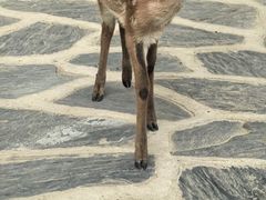 -南戴河国际娱乐中心