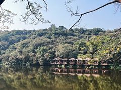 -李小龙乐园(顺德均安店)