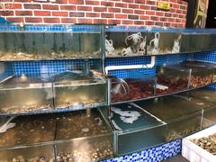 水产区-蟹谢蒸鲜自助餐厅