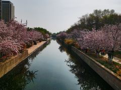 -海棠花溪(元大都城垣遗址公园)
