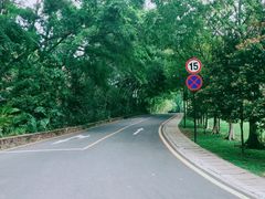 -深圳仙湖植物园-停车场