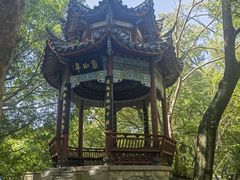 -乌山风景区