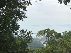 -太平山餐厅(山顶道店)