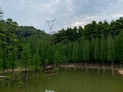 -广州市帽峰山景区
