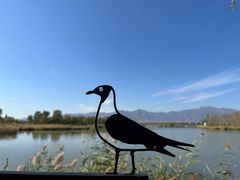 -野鸭湖国家湿地公园