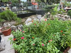 -蘇河湾·新鲁菜·泰山宴(泰山店)