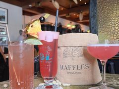 -Long Bar(莱佛士酒店)