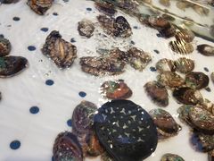 -川骄海鲜自助(河东店)