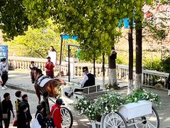 -金庭庄园酒店-停车场