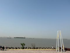 -上海滨江森林公园
