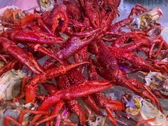 -红盔甲·小龙虾(车公庙店)