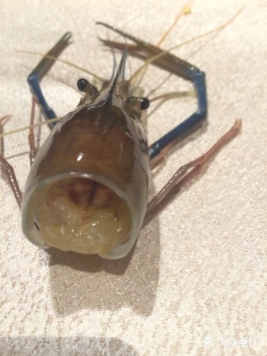 渔民新村(番禺总店)iphone_upload_pic图片