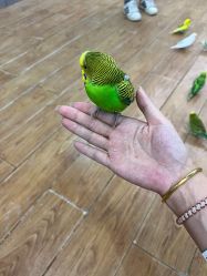 -未来动物城主题公园(正弘城店)