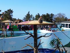 -西霞口神雕山野生动物世界