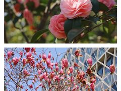 -杭州城北体育公园