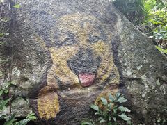 -海南铜鼓岭景区