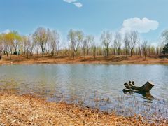 -东郊湿地公园