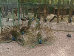 -南京金牛湖风景区