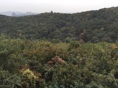 -南山风景名胜区