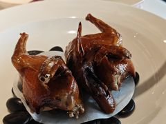 -谭厨中山传家菜.乳鸽.脆鲩鱼(华强北中航城店)