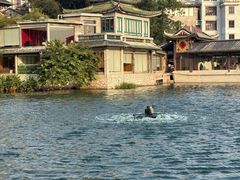 -荔湾湖公园