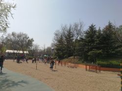 -酷酷兔少儿拓展天地