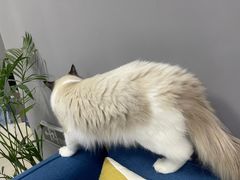 -福州肆爪动物医院