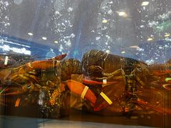 -一坐一忘云南菜(北京skp店)