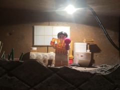 -有局·成都市井烧烤·精酿啤酒(双楠店)