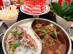 -鸿运诚羊蝎子·火锅(西单店)
